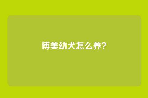 博美幼犬怎么养？