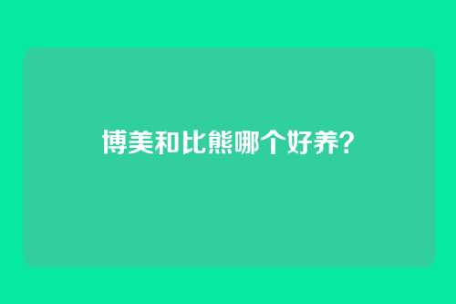 博美和比熊哪个好养?