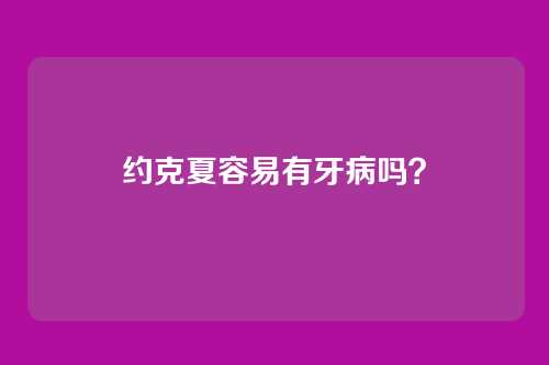 约克夏容易有牙病吗?