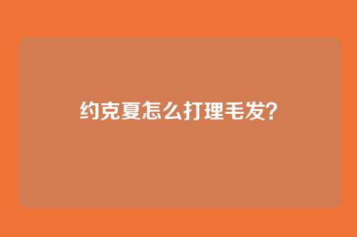 约克夏怎么打理毛发?