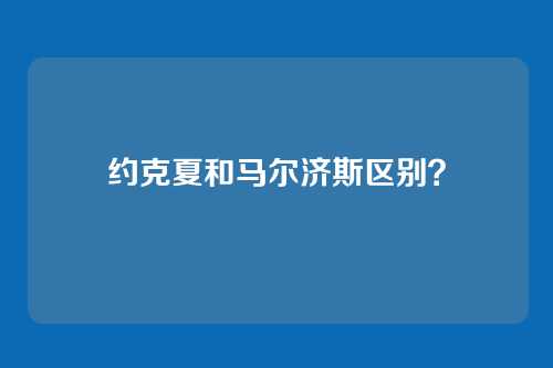 约克夏和马尔济斯区别?