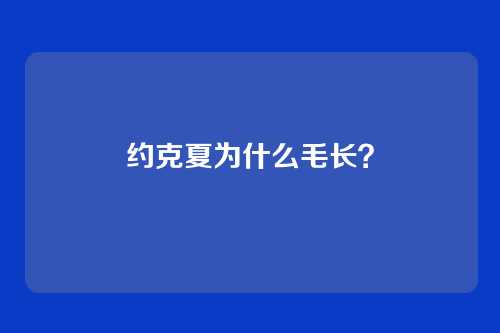 约克夏为什么毛长?