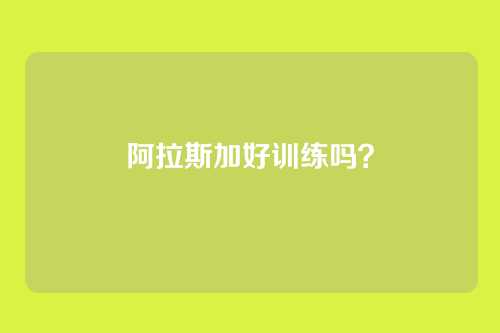 阿拉斯加好训练吗？