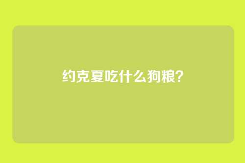 约克夏吃什么狗粮?