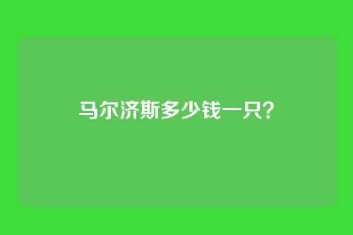 马尔济斯多少钱一只?