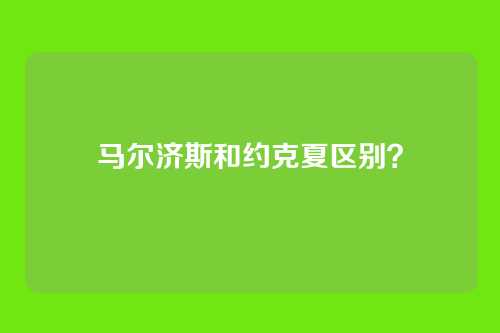 马尔济斯和约克夏区别？