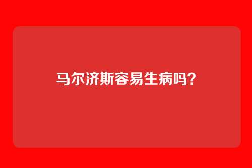 马尔济斯容易生病吗?