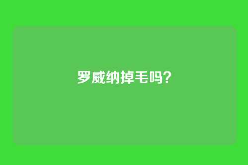罗威纳掉毛吗?