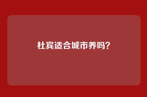 杜宾适合城市养吗?