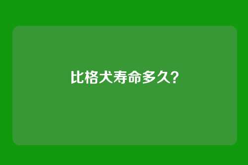 比格犬寿命多久？