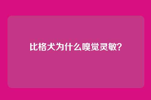 比格犬为什么嗅觉灵敏？