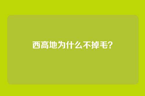 西高地为什么不掉毛?