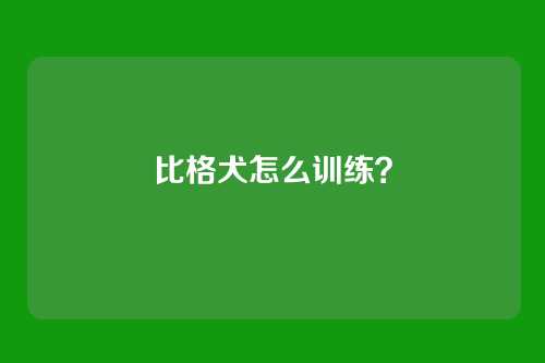 比格犬怎么训练？