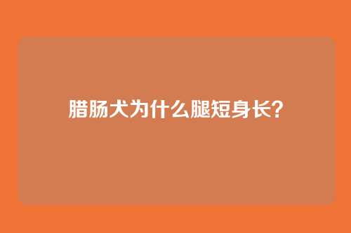 腊肠犬为什么腿短身长？