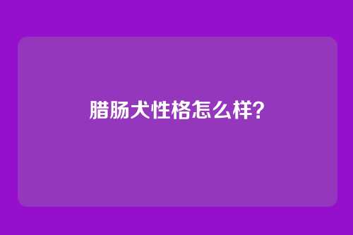 腊肠犬性格怎么样？