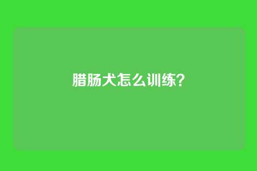 腊肠犬怎么训练？