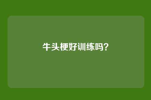 牛头梗好训练吗？