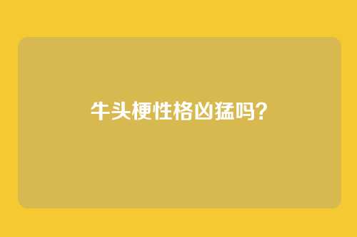 牛头梗性格凶猛吗？