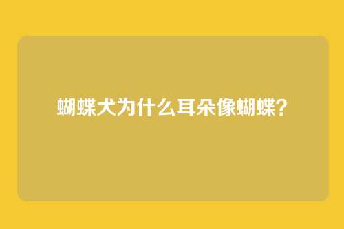 蝴蝶犬为什么耳朵像蝴蝶？