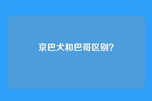 京巴犬和巴哥区别？