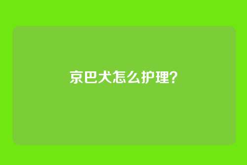 京巴犬怎么护理？