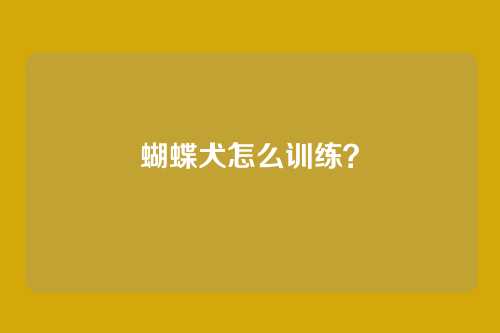 蝴蝶犬怎么训练？