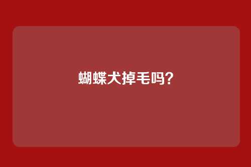蝴蝶犬掉毛吗？