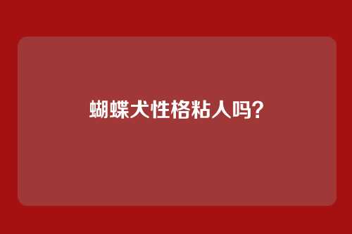 蝴蝶犬性格粘人吗？