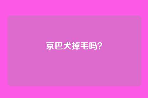 京巴犬掉毛吗？