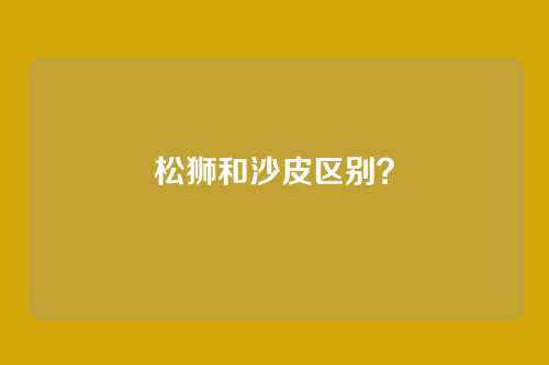松狮和沙皮区别？