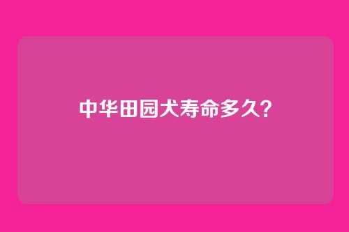 中华田园犬寿命多久？