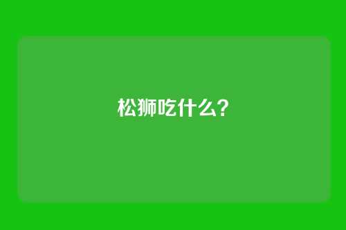 松狮吃什么？