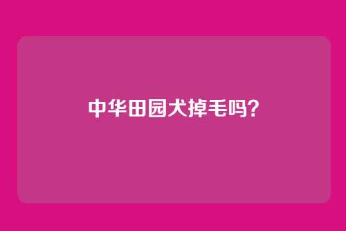 中华田园犬掉毛吗？