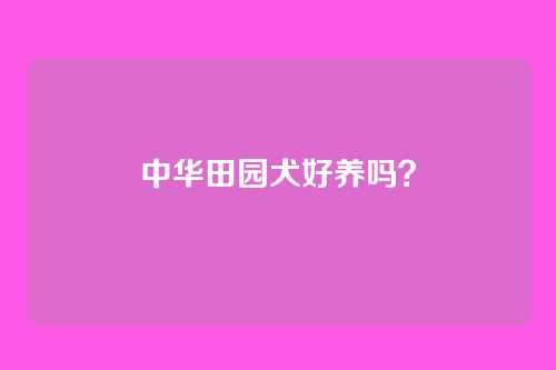 中华田园犬好养吗？