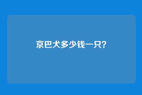 京巴犬多少钱一只？