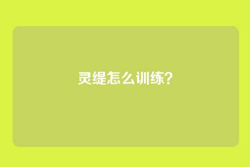灵缇怎么训练?