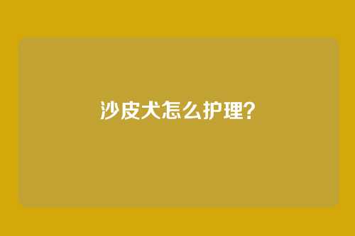 沙皮犬怎么护理?