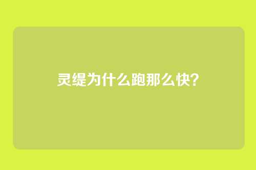 灵缇为什么跑那么快?