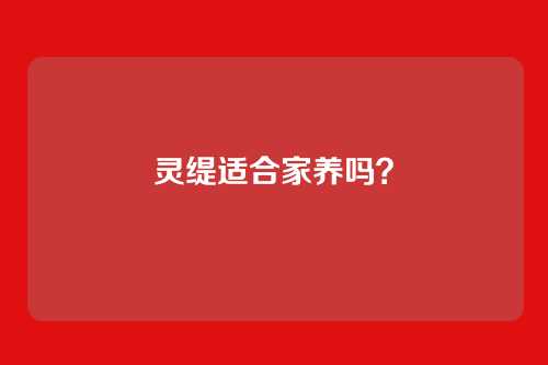 灵缇适合家养吗?
