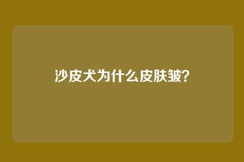 沙皮犬为什么皮肤皱？
