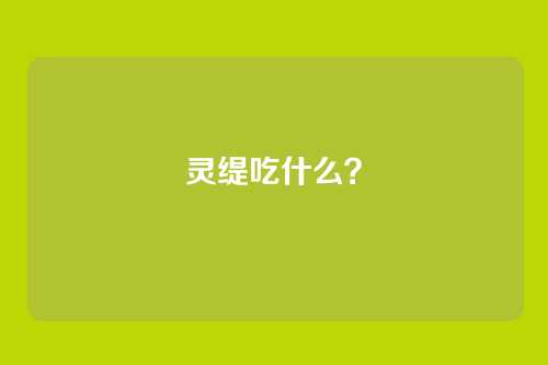 灵缇吃什么?