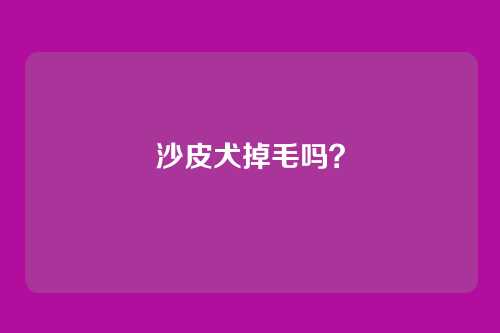 沙皮犬掉毛吗？