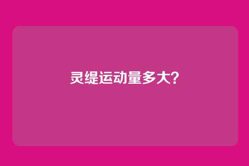 灵缇运动量多大？