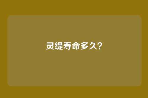 灵缇寿命多久?