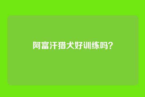 阿富汗猎犬好训练吗？