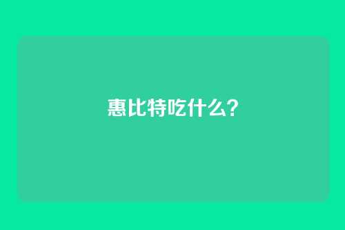惠比特吃什么?