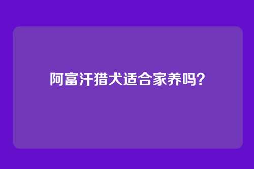 阿富汗猎犬适合家养吗?