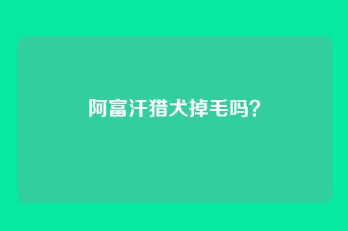 阿富汗猎犬掉毛吗?