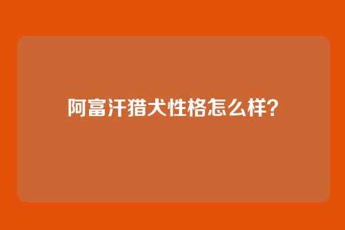 阿富汗猎犬性格怎么样?