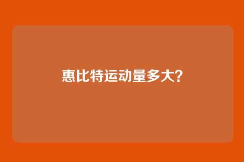 惠比特运动量多大?